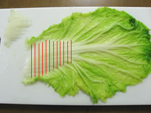 白菜下準備.jpg